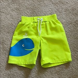 Neon Toddler Swim Shorts